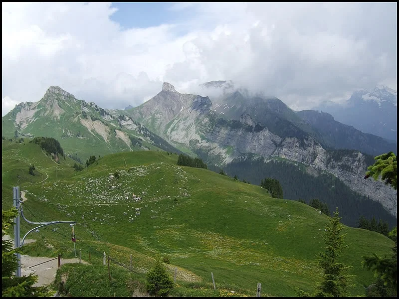 DSCF2678.webp