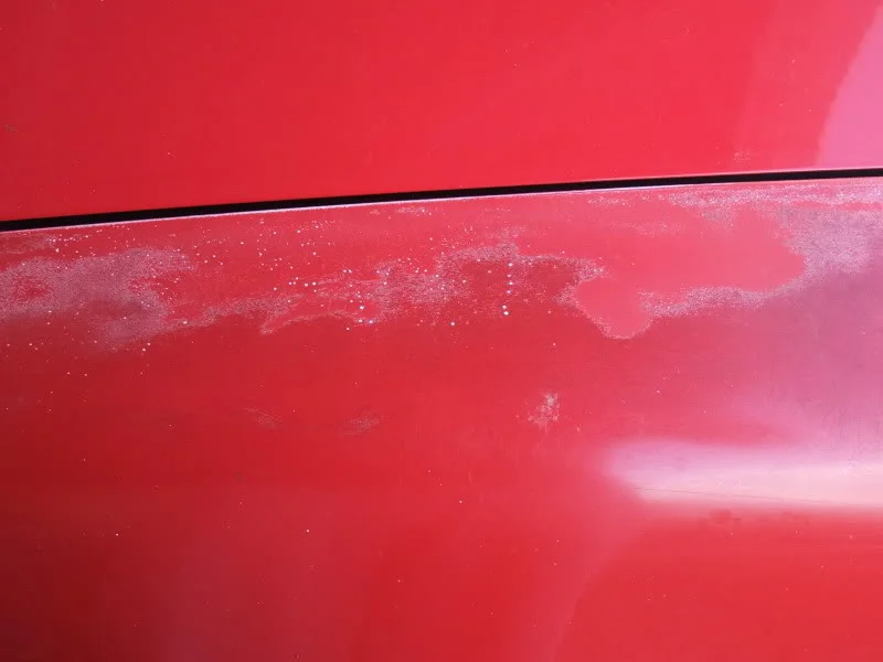 DSCF2687.webp