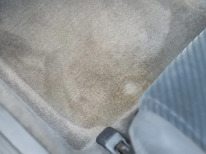 DSCF2691.webp