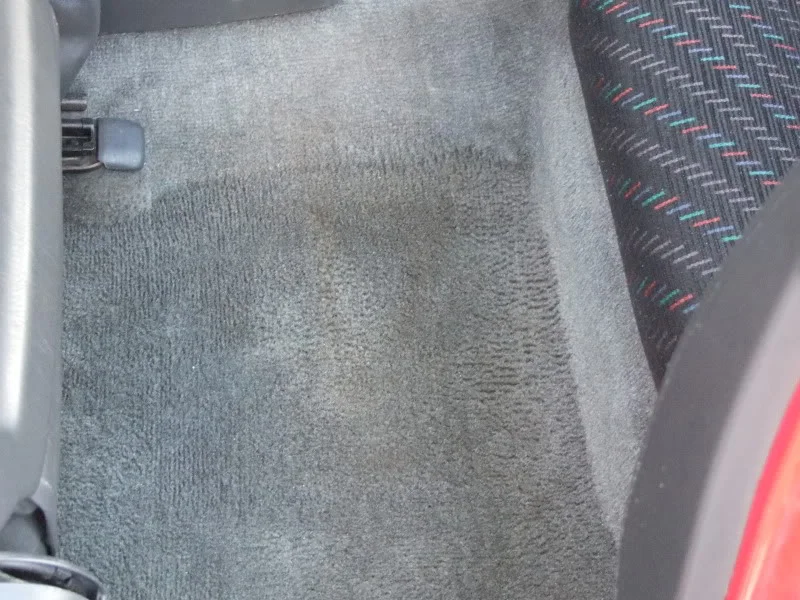 DSCF2698.webp