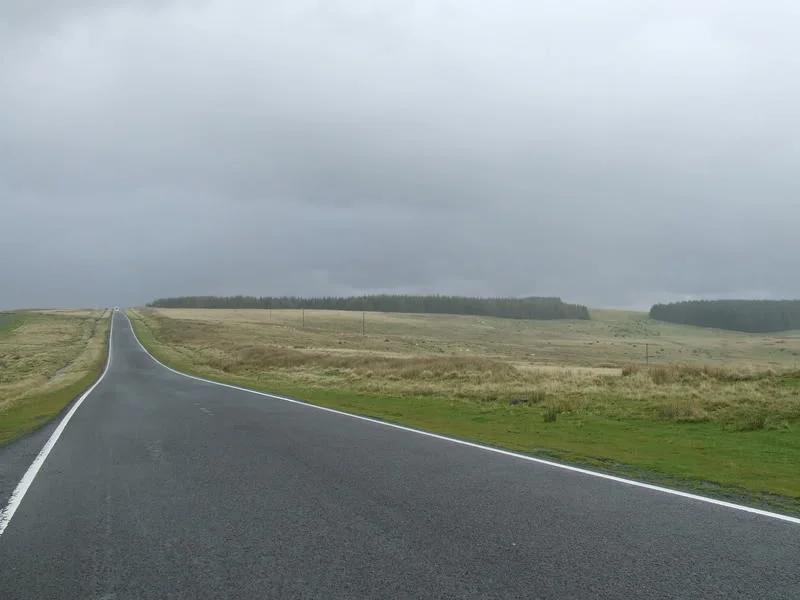DSCF2743.webp