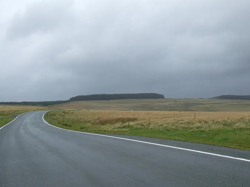 DSCF2746.webp