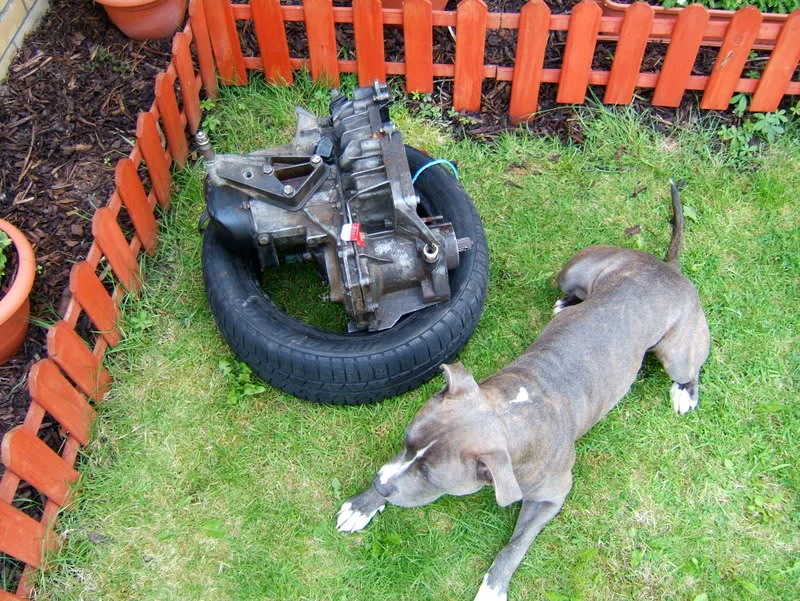 DSCF2749.webp