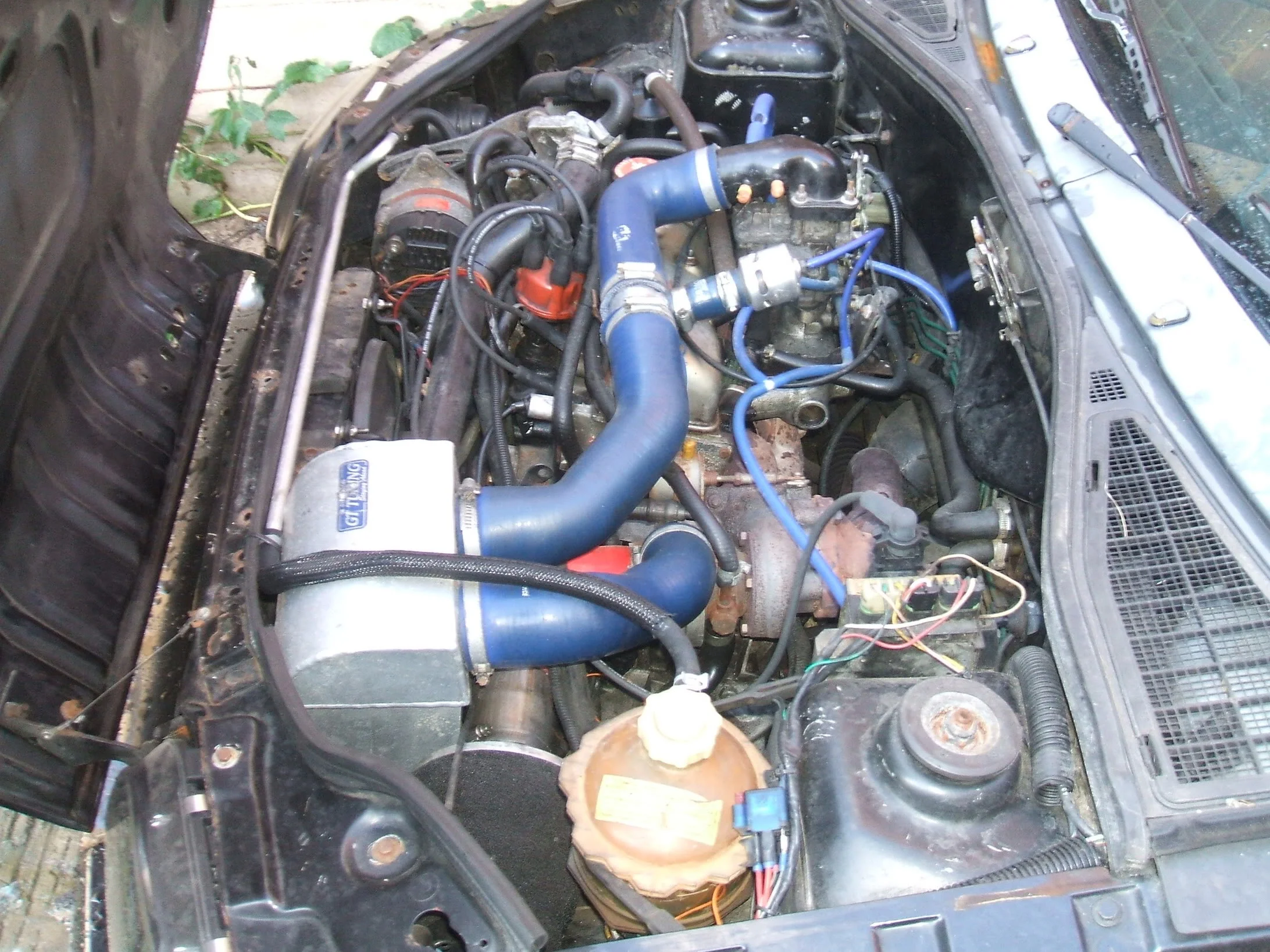 DSCF2750.webp