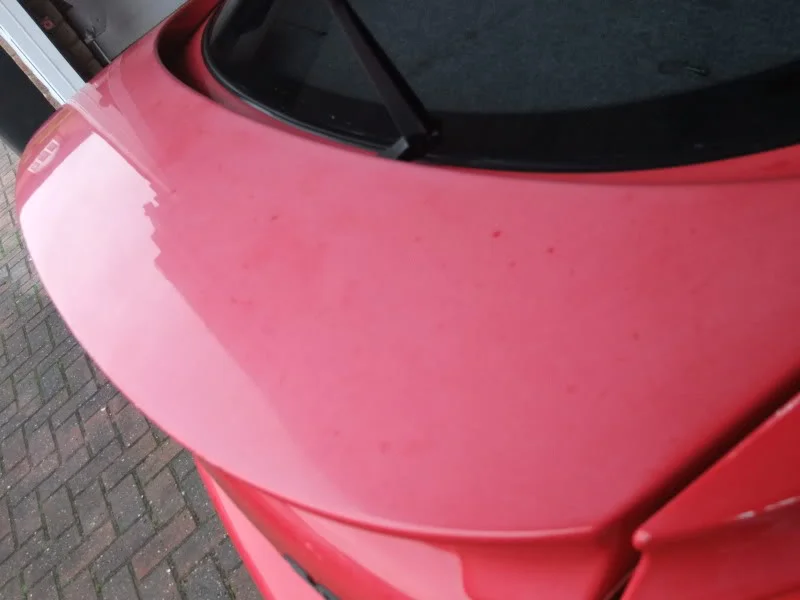 DSCF2767.webp