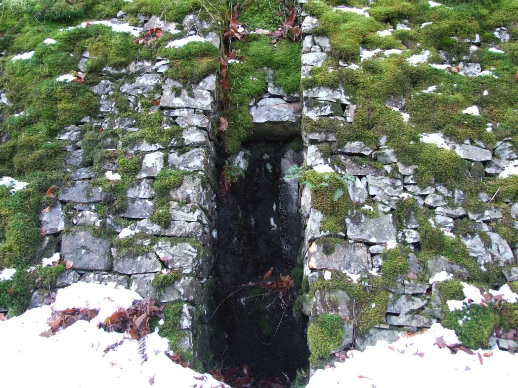 DSCF2768.webp