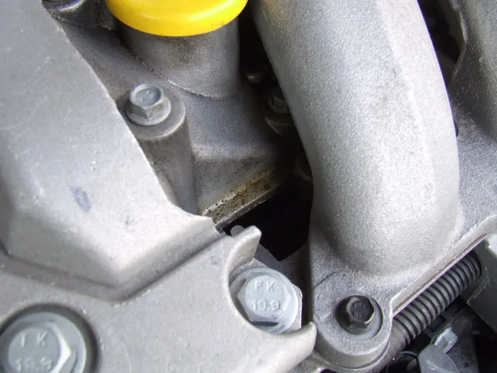DSCF2774.webp