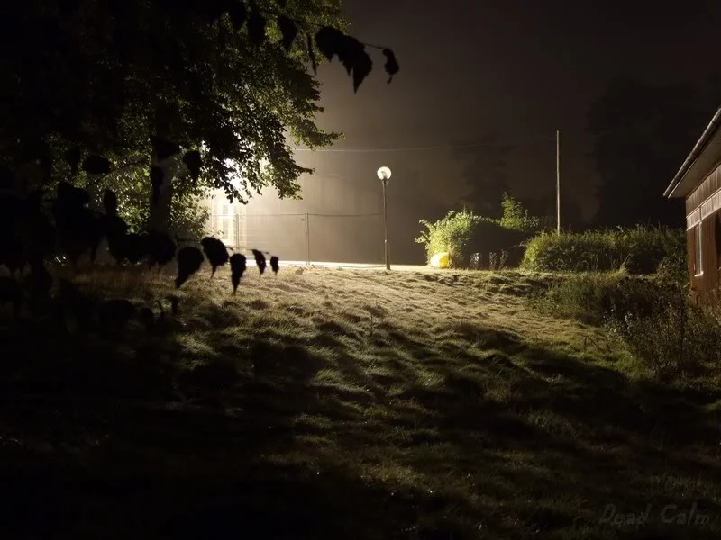 DSCF2935.webp