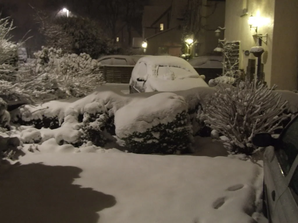 DSCF2939.webp