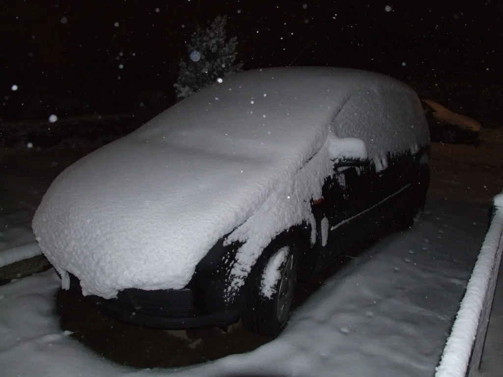DSCF2941.webp