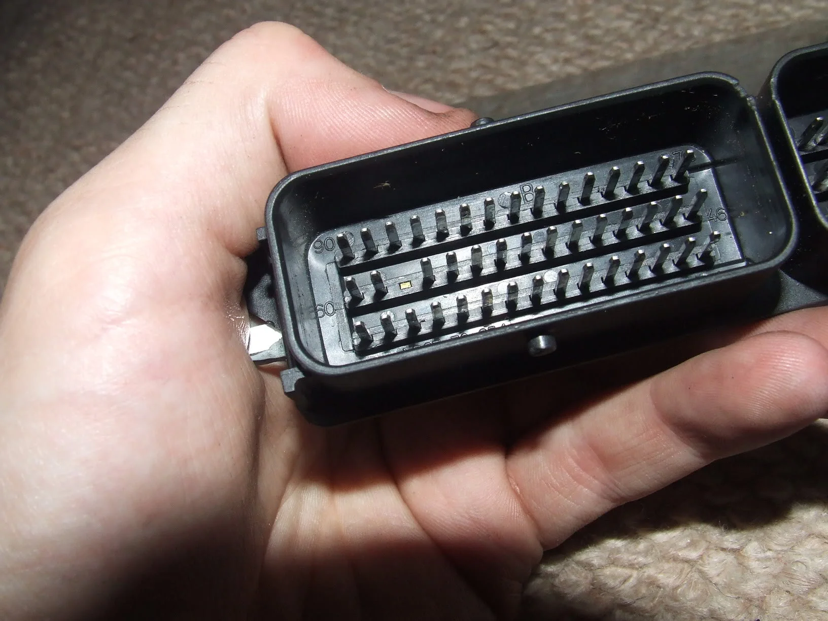 DSCF2958.webp