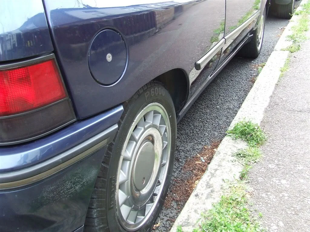 DSCF2982.webp