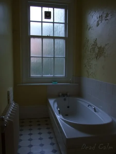 DSCF2991.webp