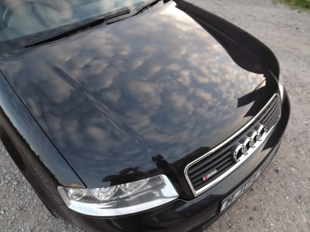 DSCF3050.webp