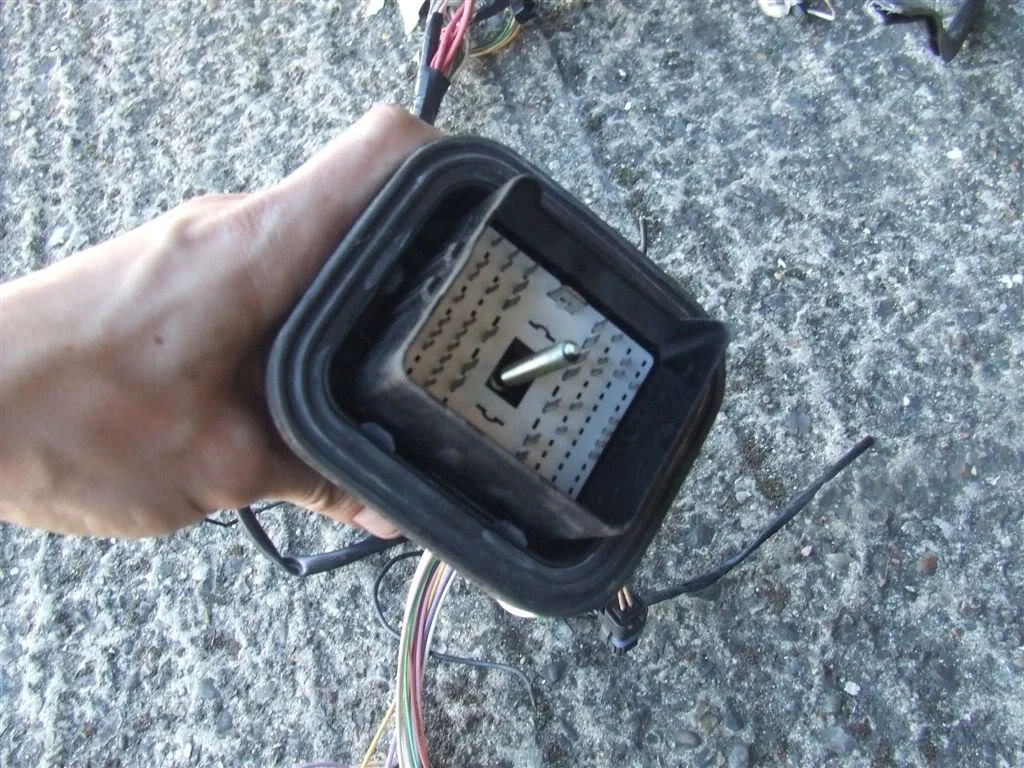 DSCF3149.webp