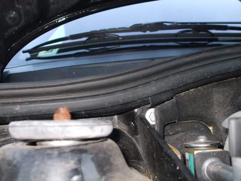 DSCF3175.webp
