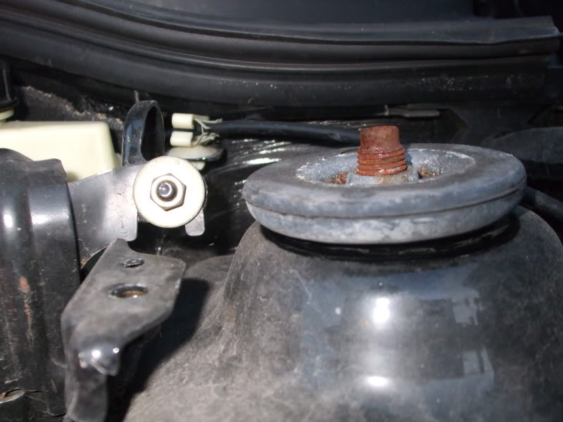 DSCF3176.jpg