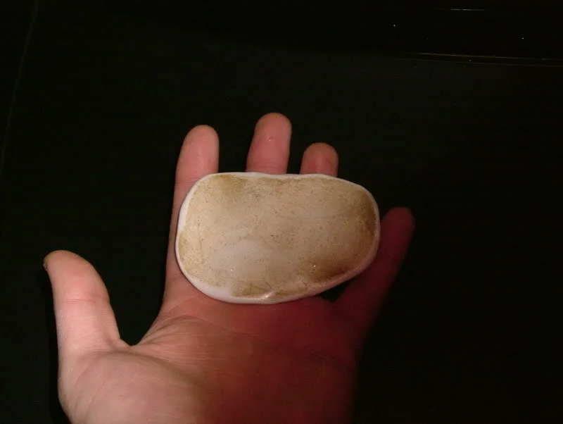 DSCF3328.webp