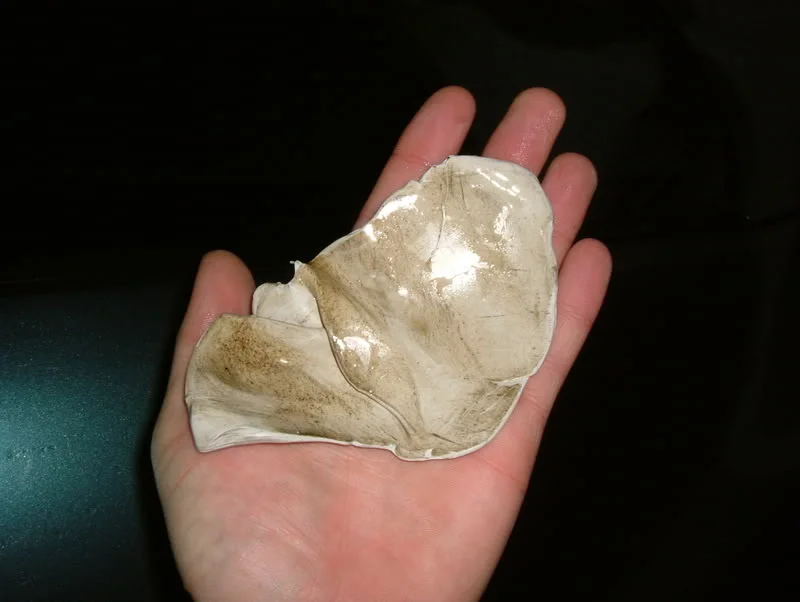DSCF3331.webp