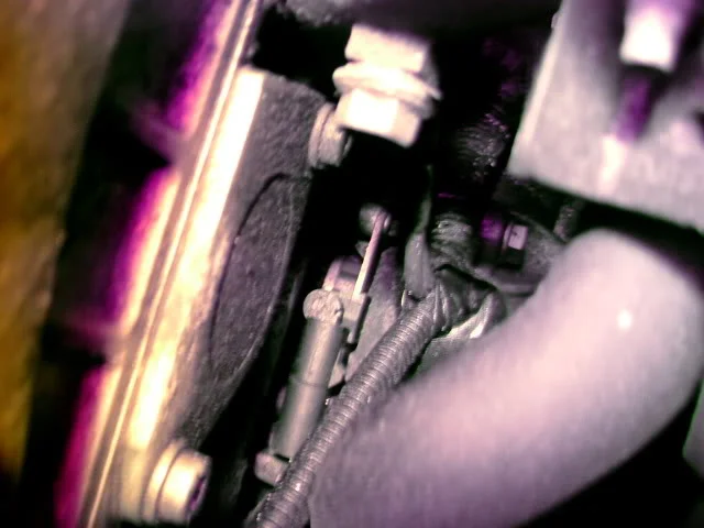 DSCF3370.webp