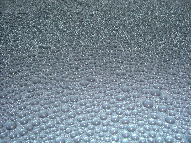 DSCF3379.webp