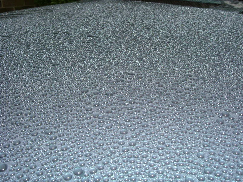 DSCF3380.webp