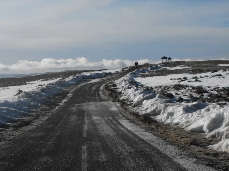 DSCF3381.webp