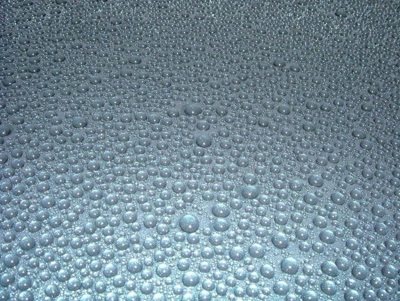 DSCF3382.webp