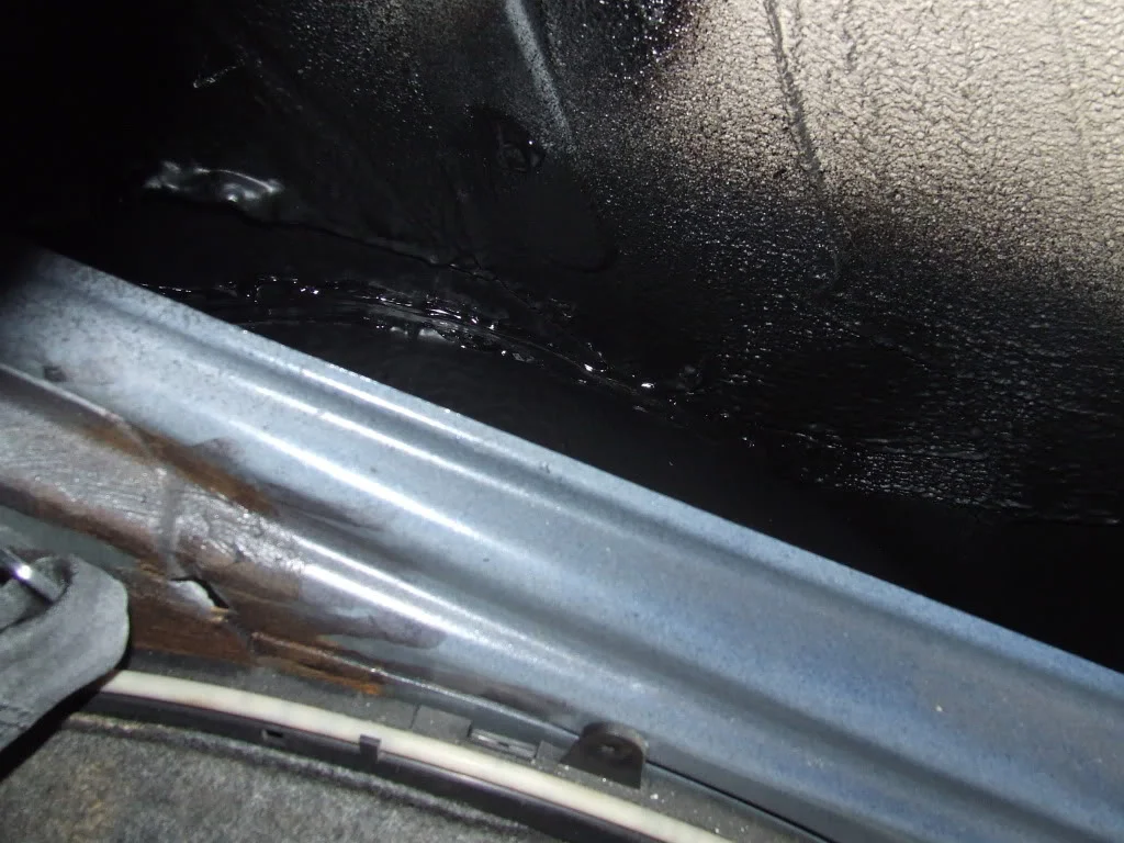 DSCF3383.webp