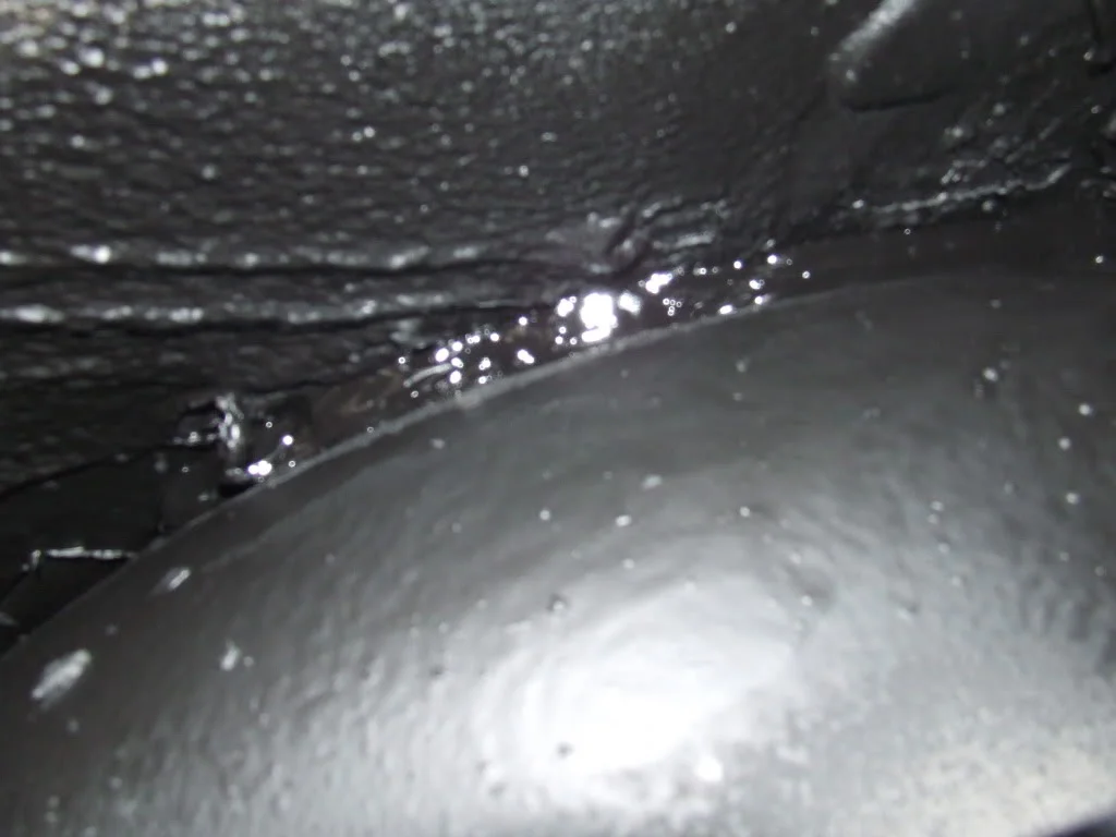 DSCF3385.webp
