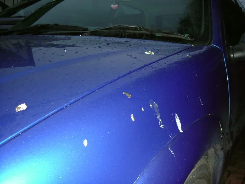 DSCF3391.webp