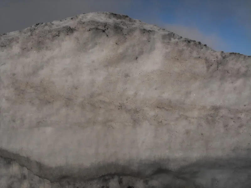 DSCF3395.webp