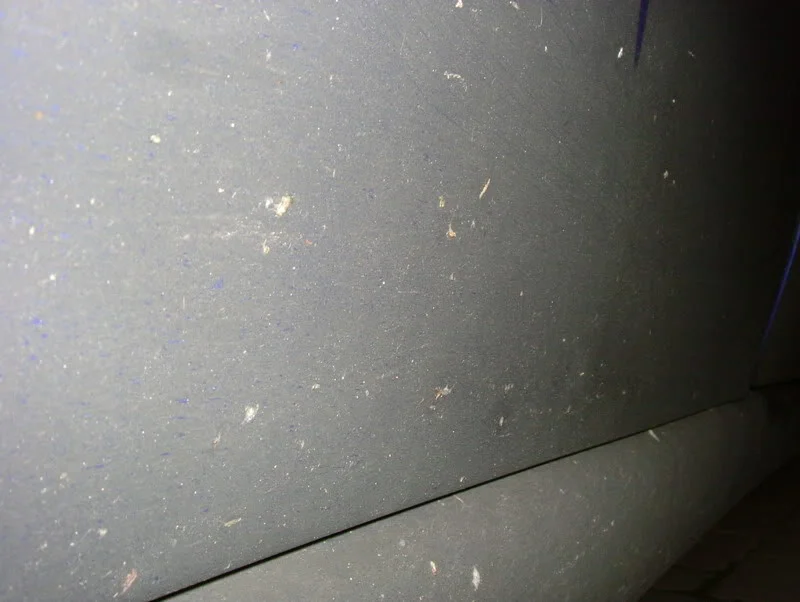 DSCF3396.webp