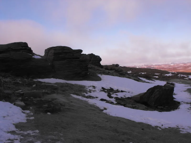 DSCF3398.webp