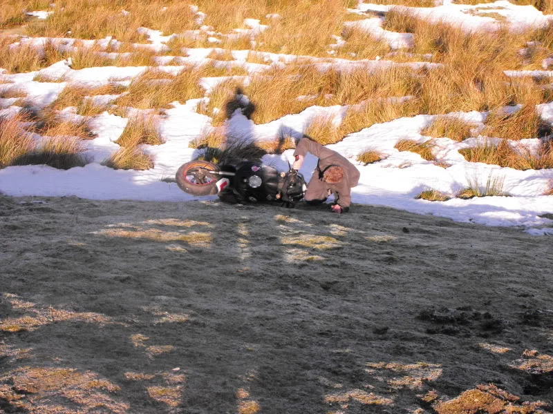 DSCF3410.webp