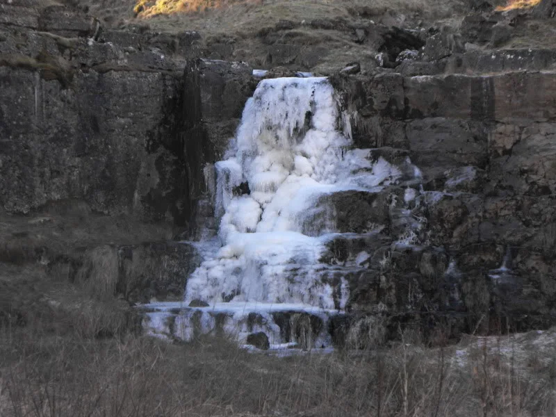 DSCF3414.webp