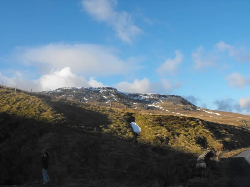 DSCF3416.webp