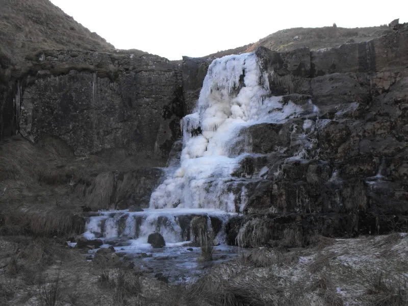 DSCF3418.webp