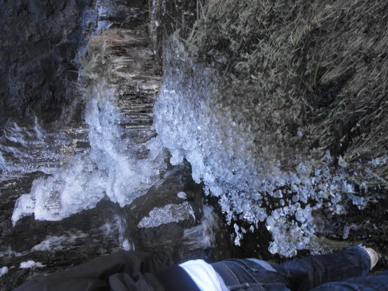 DSCF3421.webp