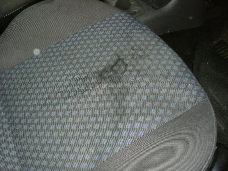 DSCF3674.webp
