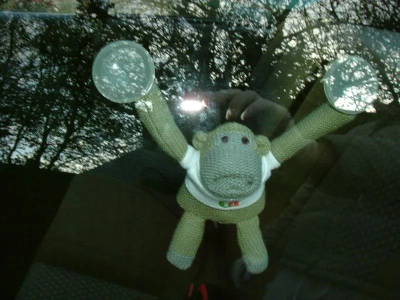 DSCF3680.webp