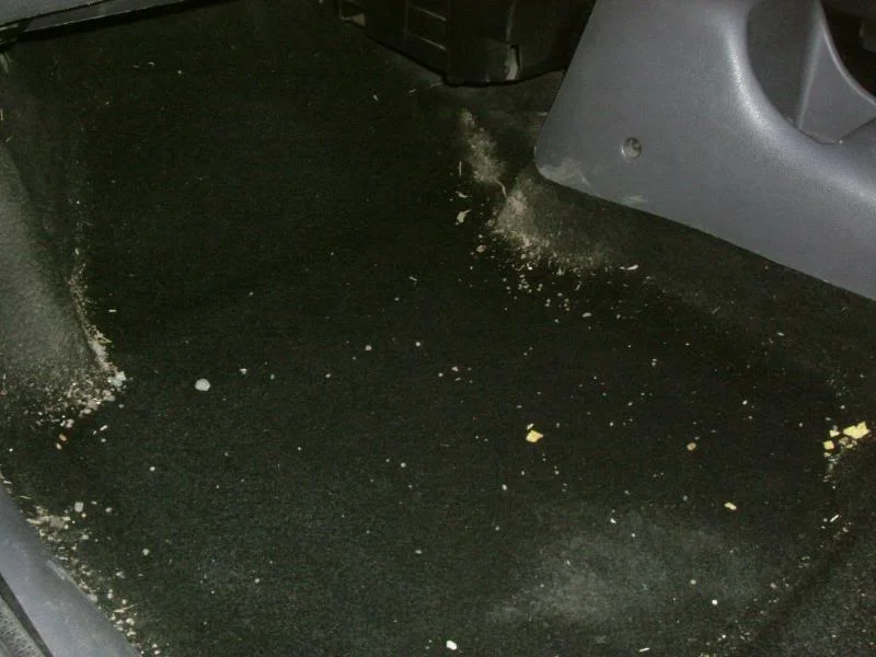 DSCF3681.webp