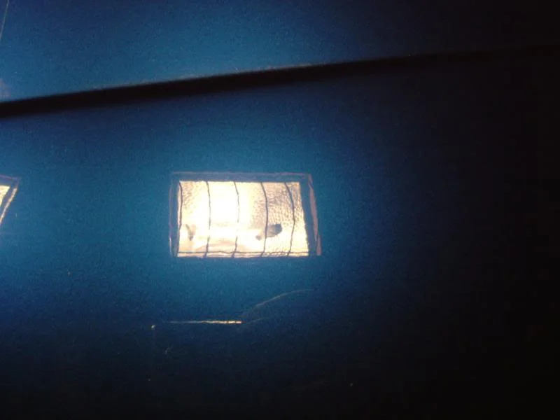 DSCF3703-1.webp