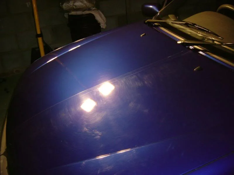 DSCF3706-1.webp