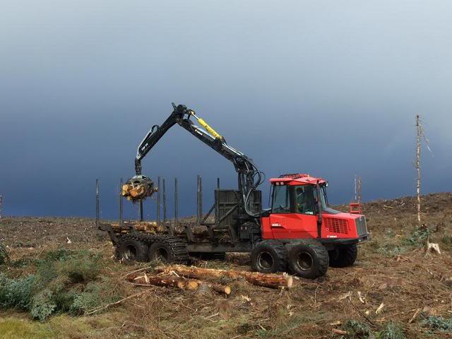 DSCF4005.jpg DSCF4005.jpg