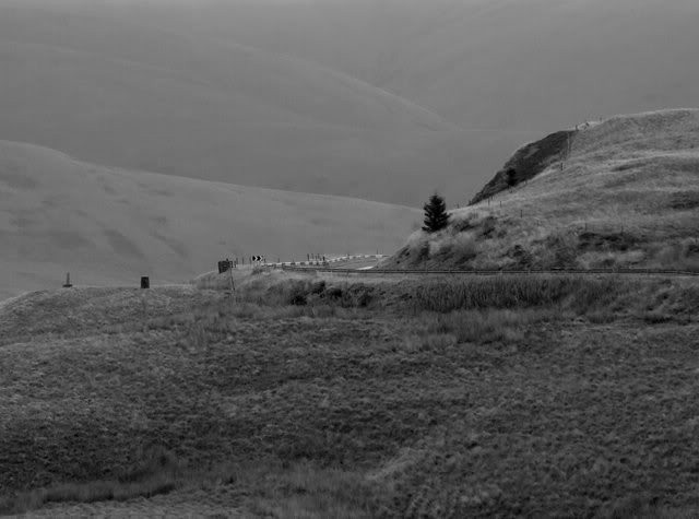 DSCF4006.jpg DSCF4006.jpg