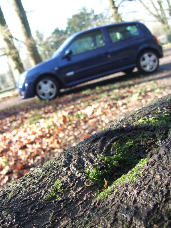 DSCF4008.jpg