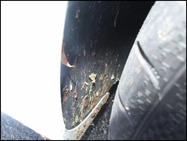 DSCF4056.webp