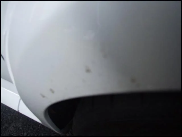 DSCF4057.webp
