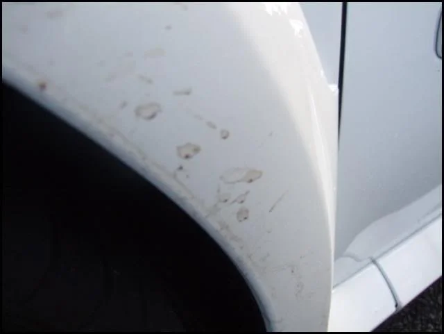 DSCF4059.webp
